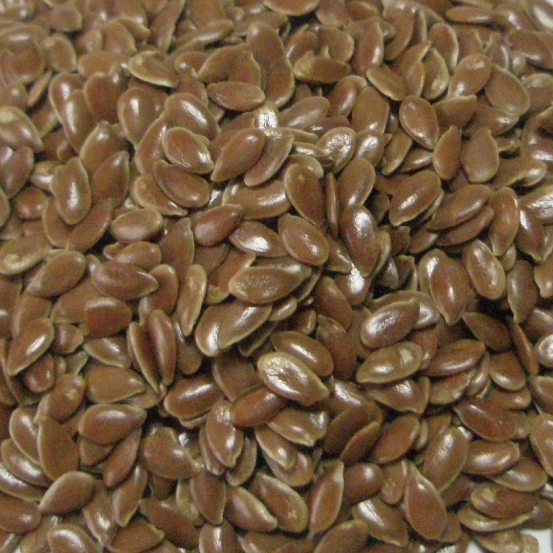 フラックスシード ホール 20g
