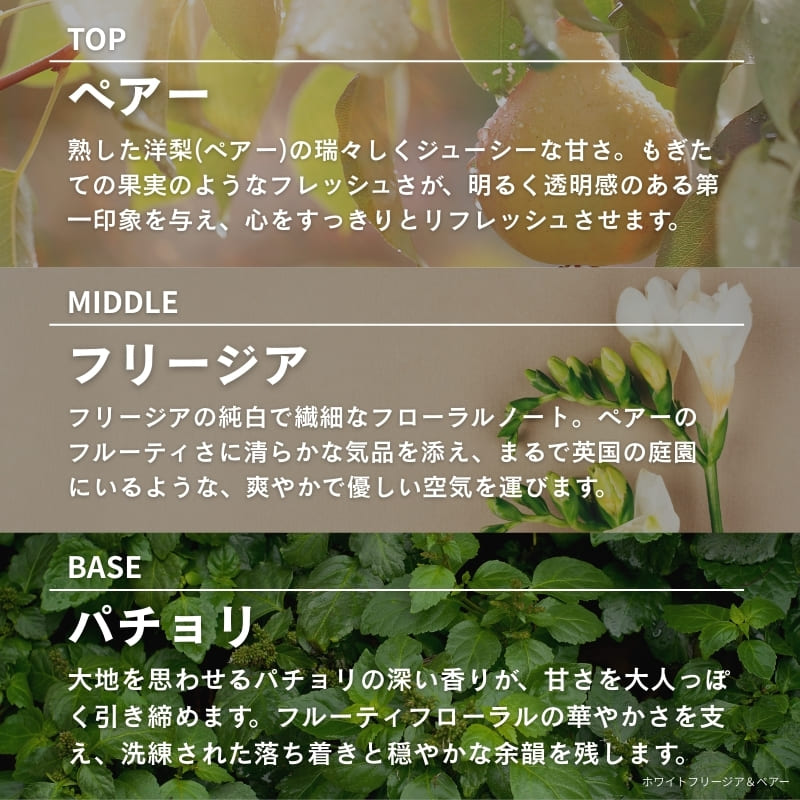 リードディフューザー 150ml ホワイトフリージア＆ペアー [アシュレイ＆バーウッド ]