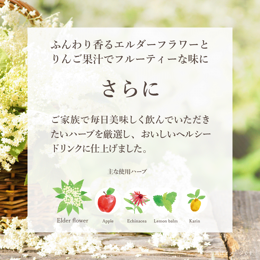 【2026年10月 期限 20% OFF】〈カリス成城〉ハーブコーディアル エルダーファミリー 355mL