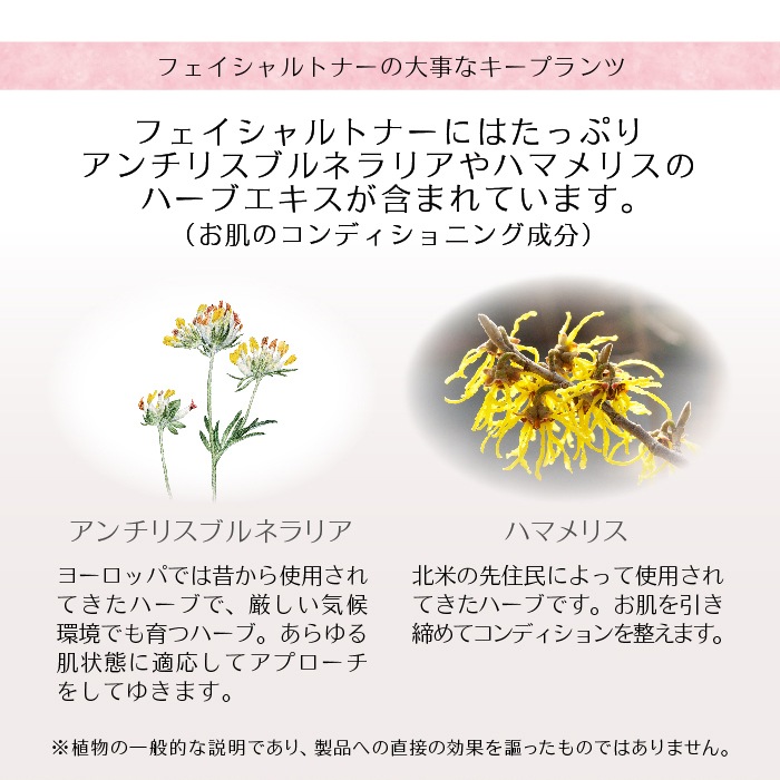 フェイシャルトナー 100ml [Dr.ハウシュカ]