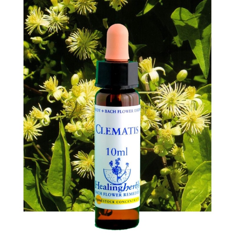 フラワーエッセンス 12 クレマチス [ヒーリングハーブス] | カリス成城
