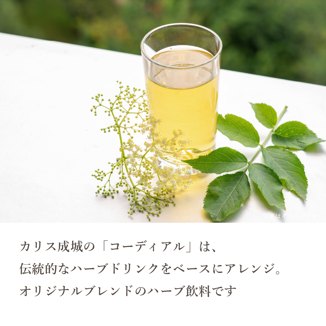 【2026年10月 期限 20% OFF】〈カリス成城〉ハーブコーディアル ローズヒップビューティ 355ml