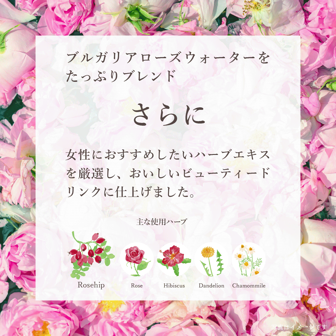 【2026年10月 期限 20% OFF】〈カリス成城〉ハーブコーディアル ローズヒップビューティ 355ml
