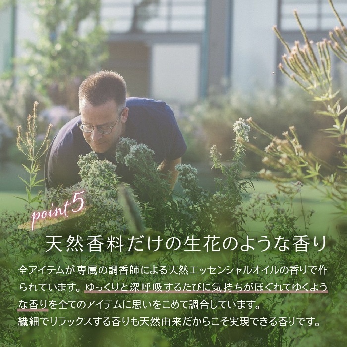 【入荷未定】ハンドクリーム 50ml [Dr.ハウシュカ]