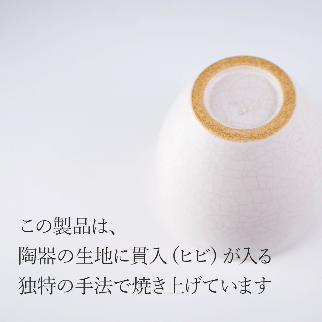 【送料無料】 美濃焼 カップペアセット ヴァイオレット＆グリーン #7493