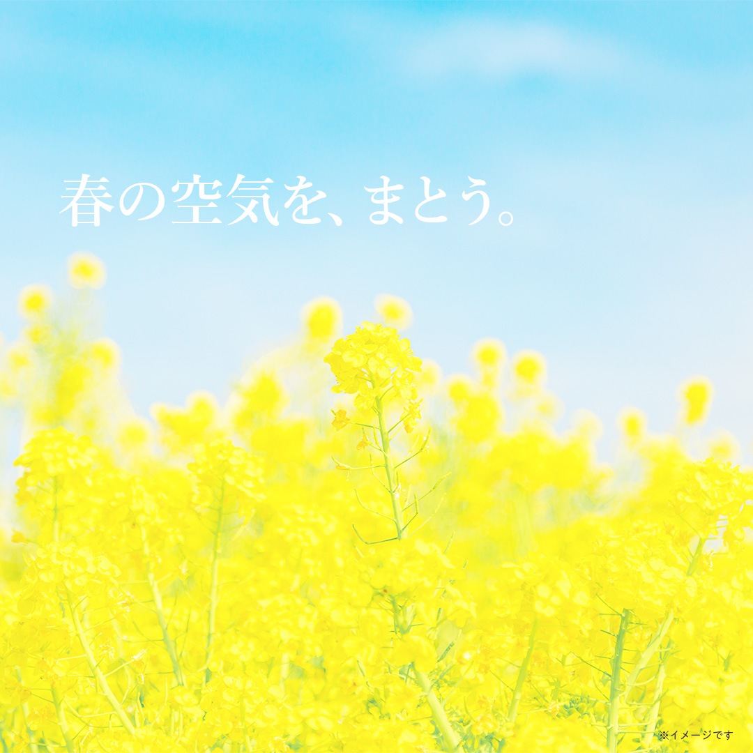 ブレンドオイル haruca (はるか) 5ml