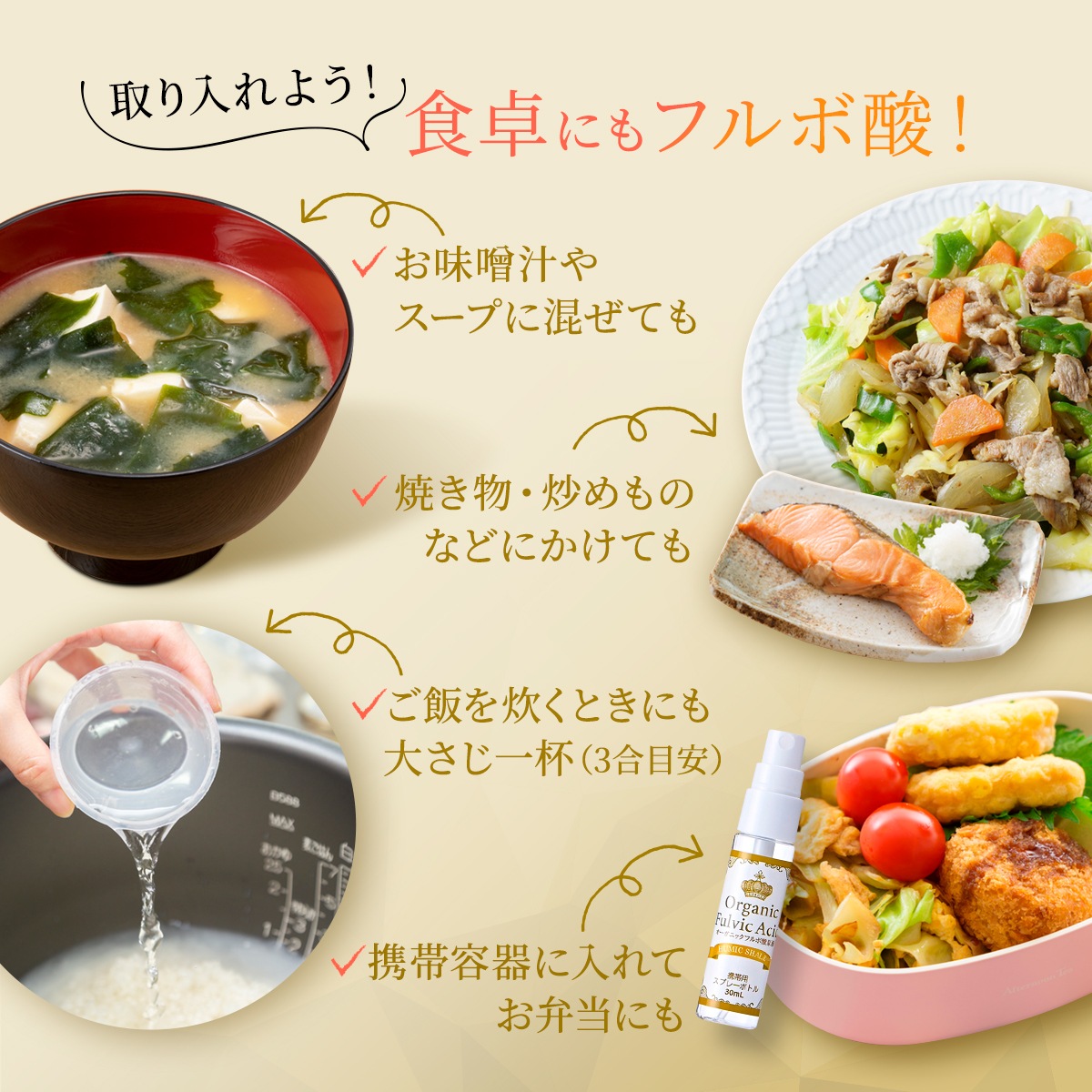 フルボ酸原液 500mL 携帯用スプレーボトル付き