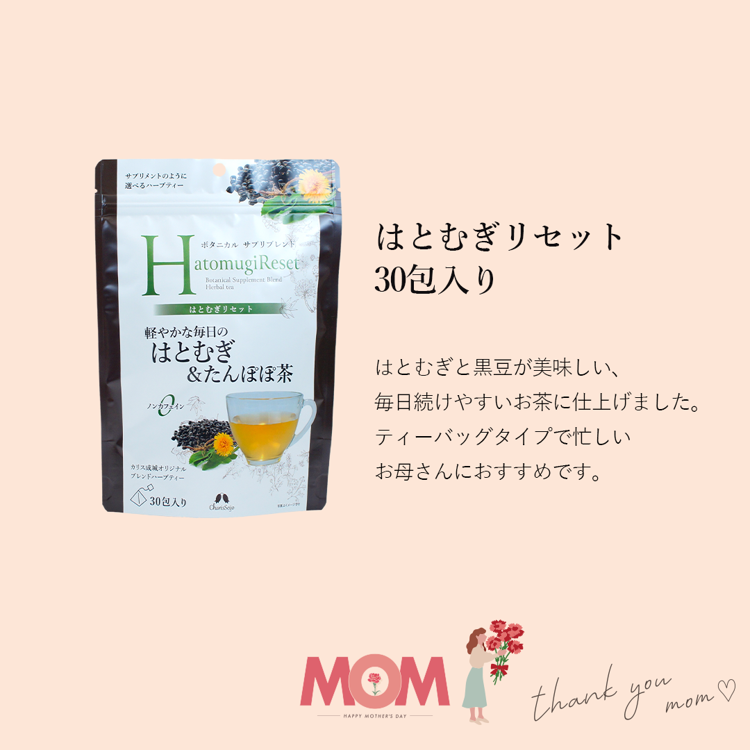 【送料無料】 毎日使えるハーブティーセット [2026 母の日ギフト]