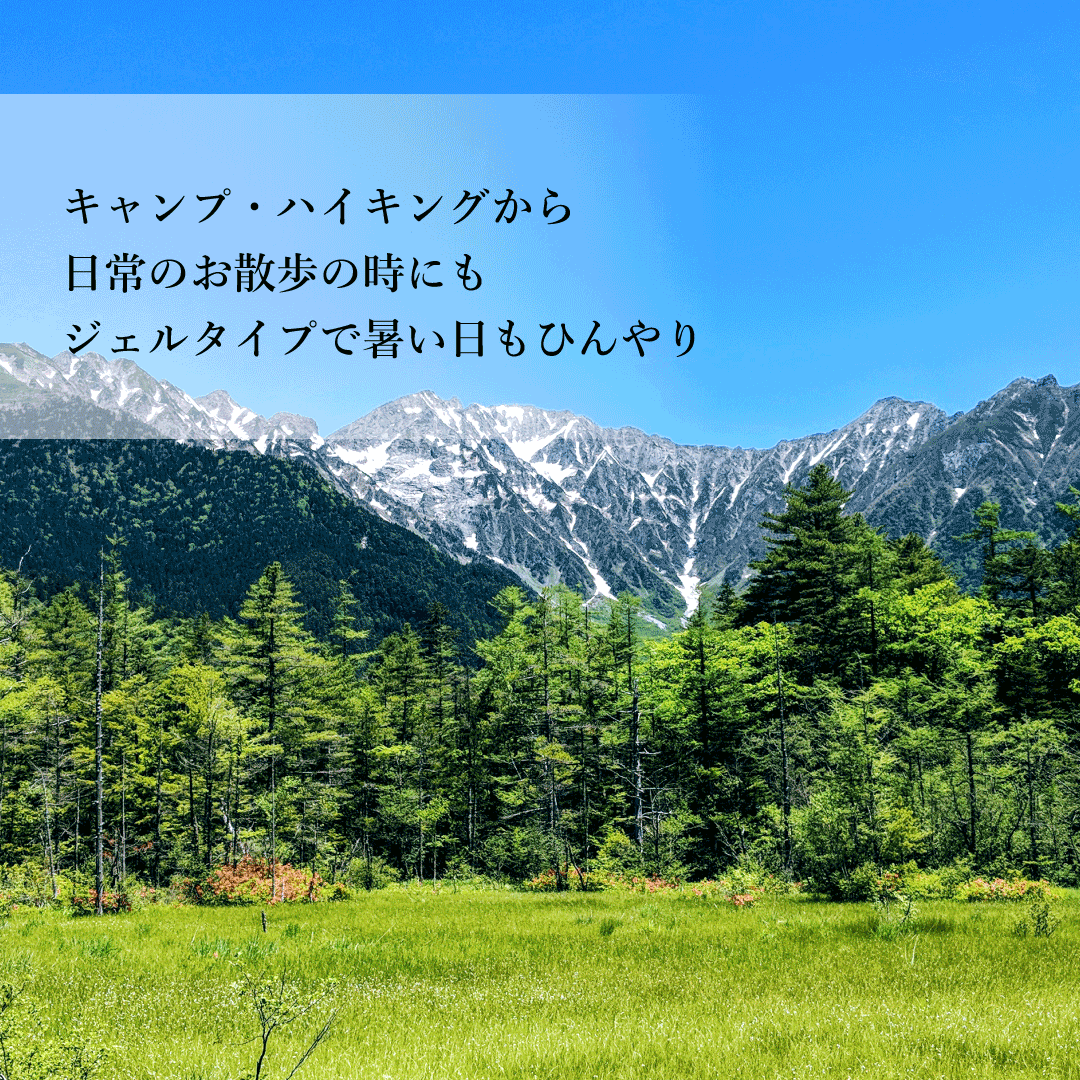 【終売】シトロネガード ボディジェル 100g [カリス成城]