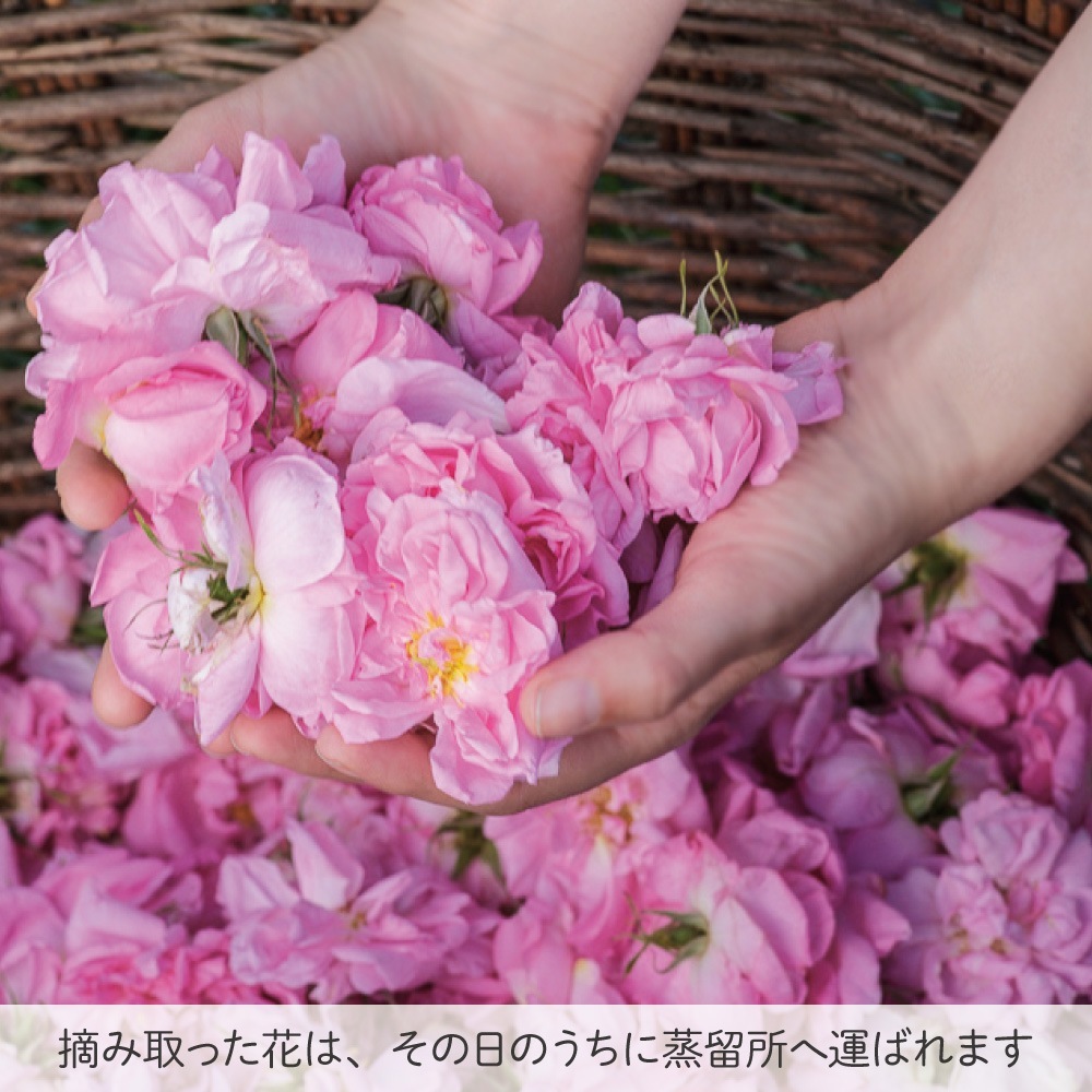 ブルガリア ダマスク ローズ ウォーター 80ml