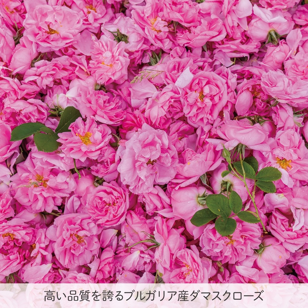 ブルガリア産 最高級品 ダマスク・ローズオイル ブルガリア産天然