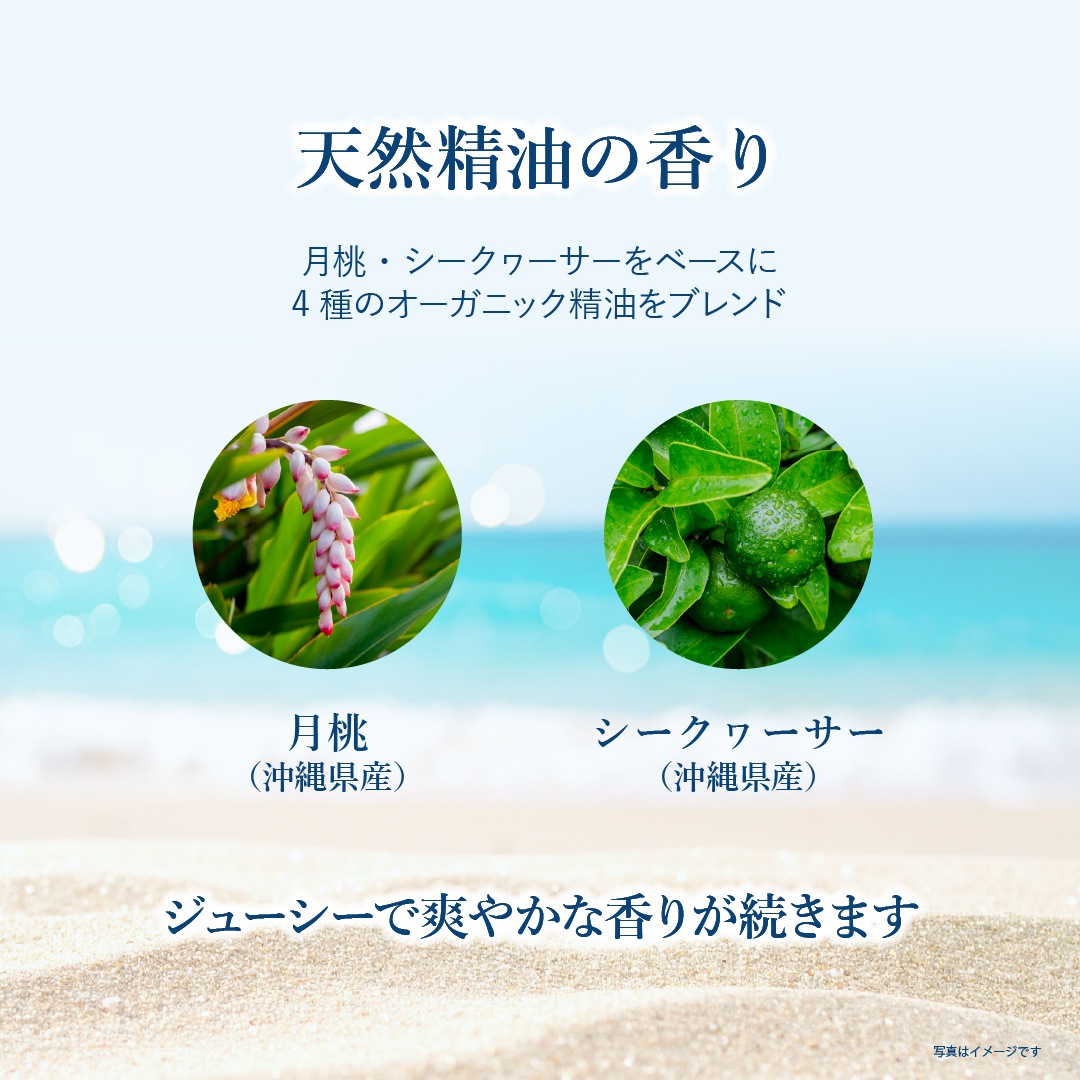 ハーバルクールフェイス＆ボディシート シークヮーサー＆月桃 (4個セット・メール便送料無料)  [カリス成城]
