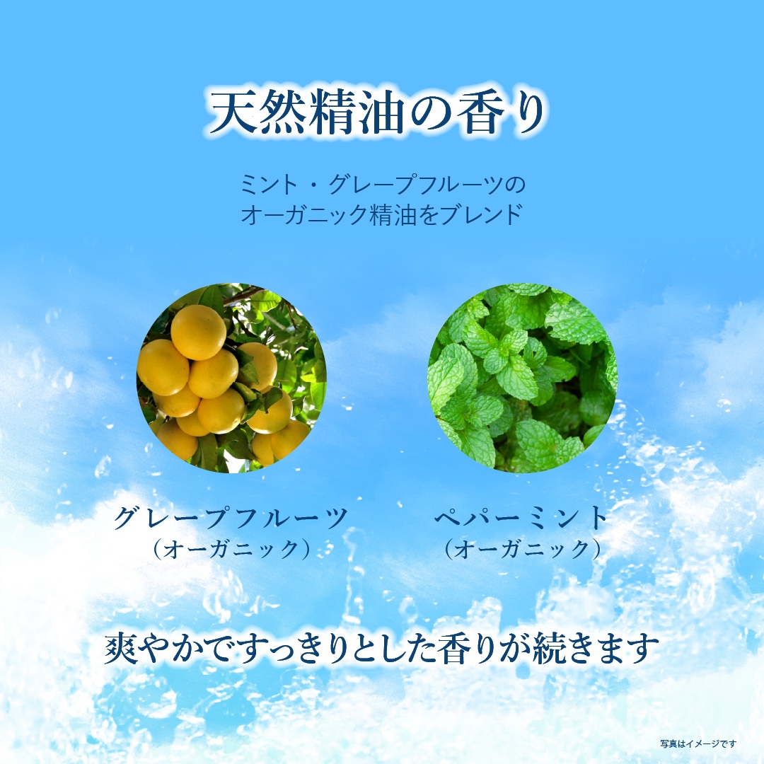 ハーバルクールボディシート ミント＆グレープフルーツ(4個セット・メール便送料無料) [カリス成城]