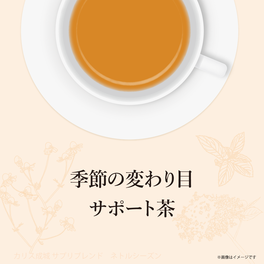 【終売：リニューアル品あり】ハーブティーテトラTB ネトルシーズン 16包入り