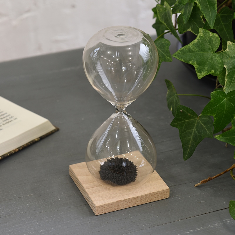 砂時計 30秒計 マグネティックアート | Fun Science,砂時計 | Chatani