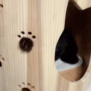 ねこハウス | すべての商品 | Cheerful Life