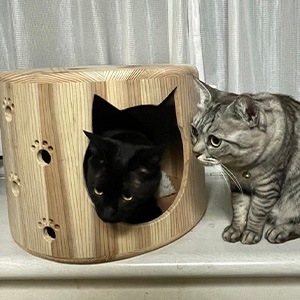 ねこハウス | すべての商品 | Cheerful Life