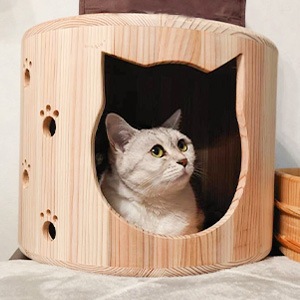 �ͤ��ϥ���