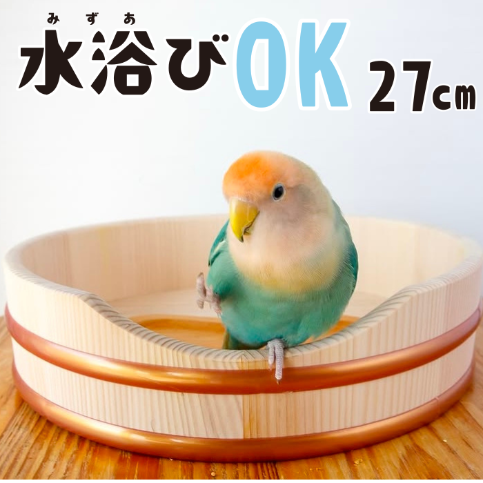 �����OK