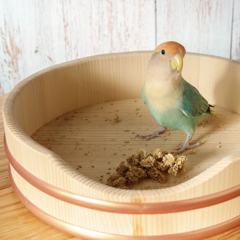 �����OK��27cm