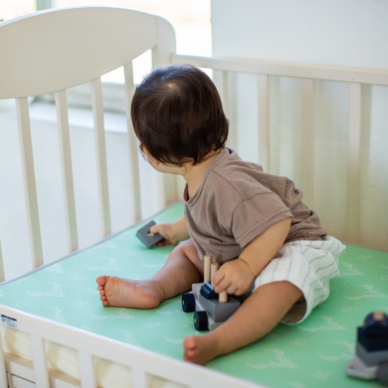 Pitchcoral Playmat(S) | Designersline-Crystal deers