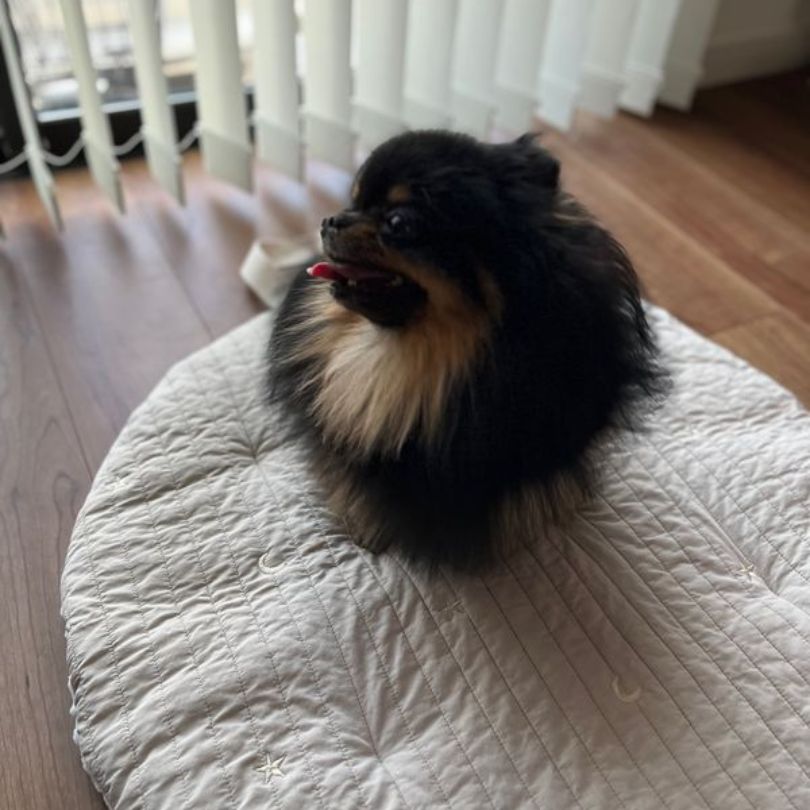 mini Roundmat | Theo by mela-B