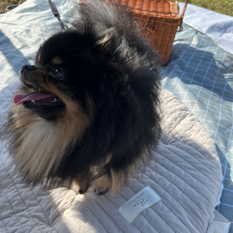 mini Roundmat | Theo by mela-B