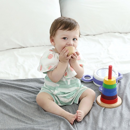 Rolling Bib / Strawberry