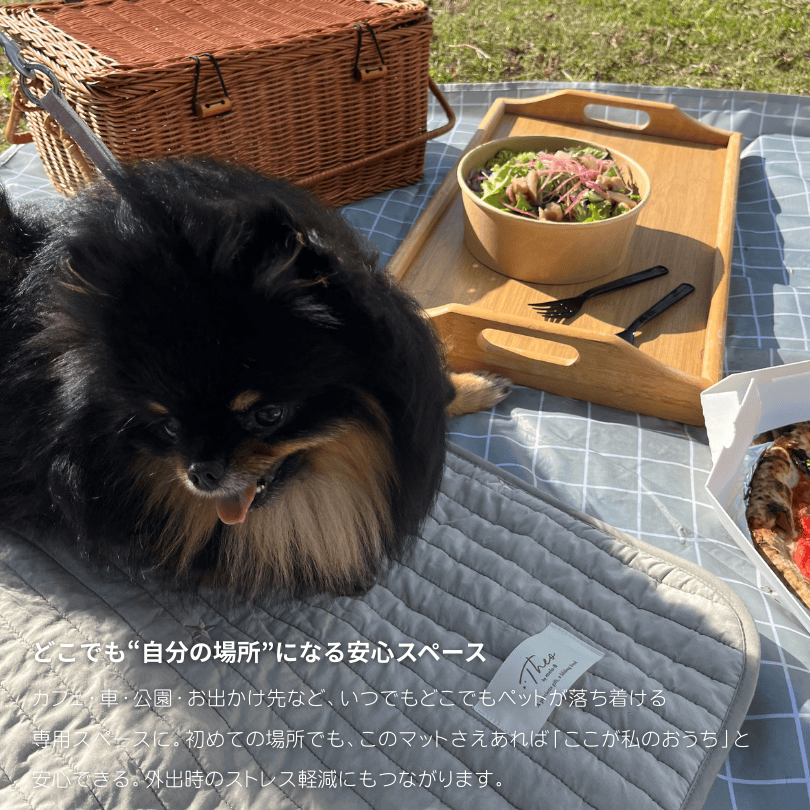 Cafemat | Theo by mela-B