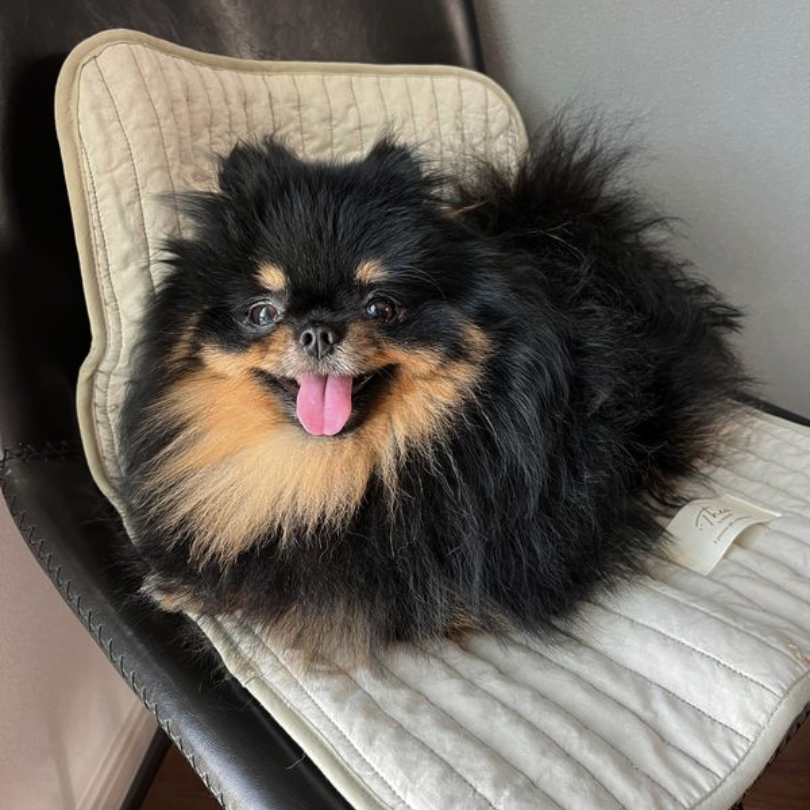 Cafemat | Theo by mela-B