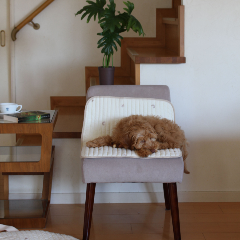 Cafemat | Theo by mela-B