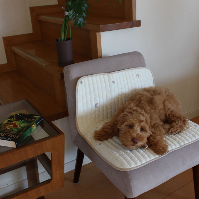 Cafemat | Theo by mela-B