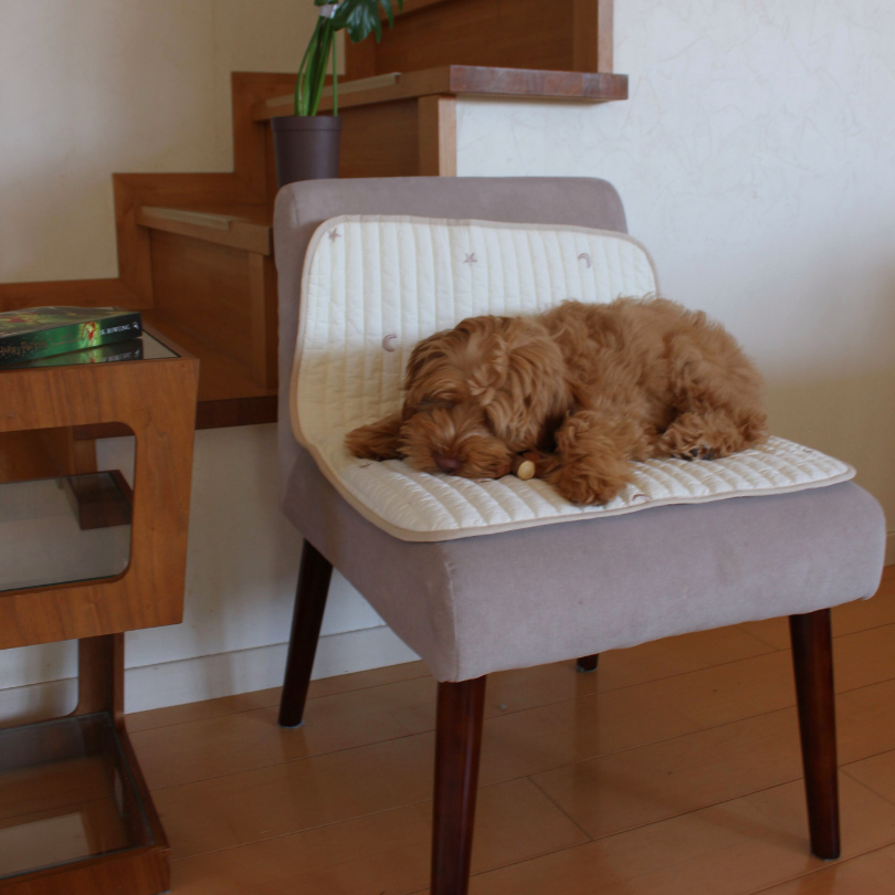 Cafemat | Theo by mela-B