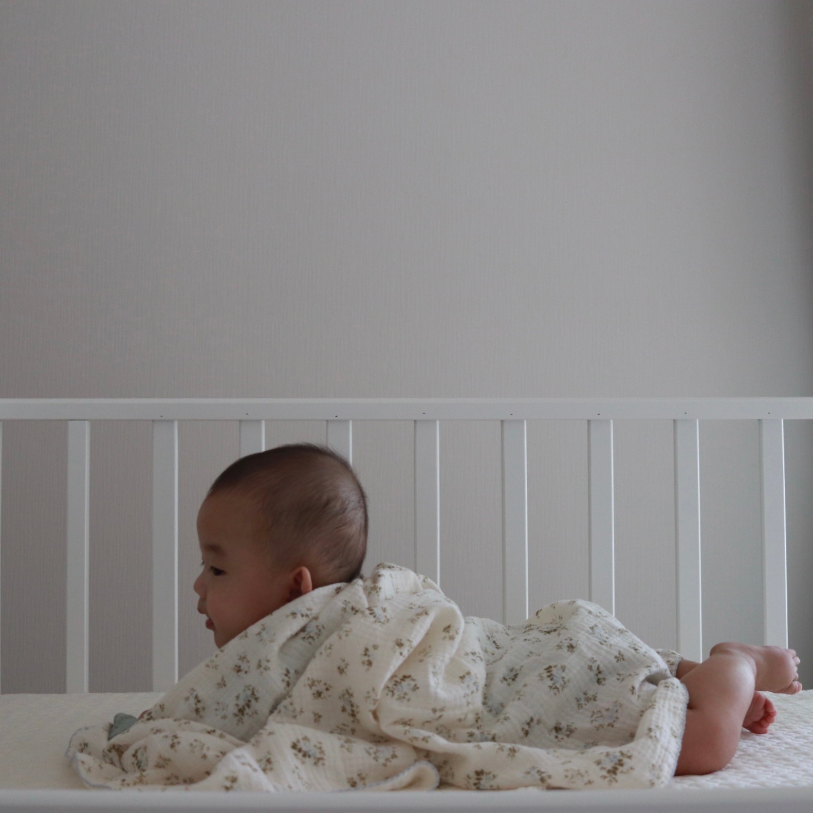 Cotton Double Gauze Swaddle [70×100cm]