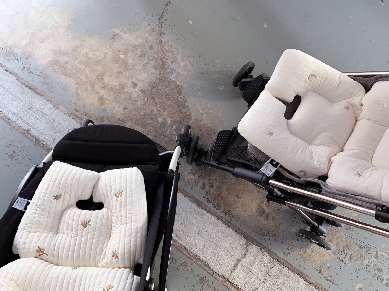 Premium Line / ibul embroide starmoon