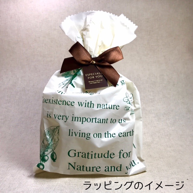 �ڤΥ��������꡼�ȥ쥤