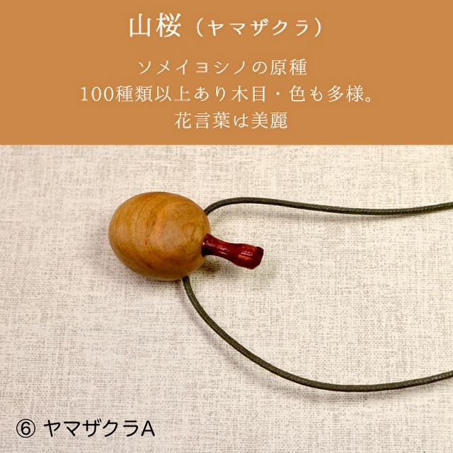 �ڤΥ����ޥڥ�����A