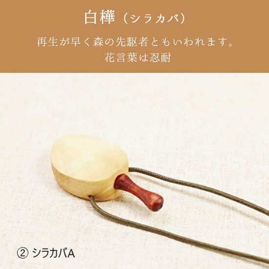 �ڤΥ����ޥڥ�����A