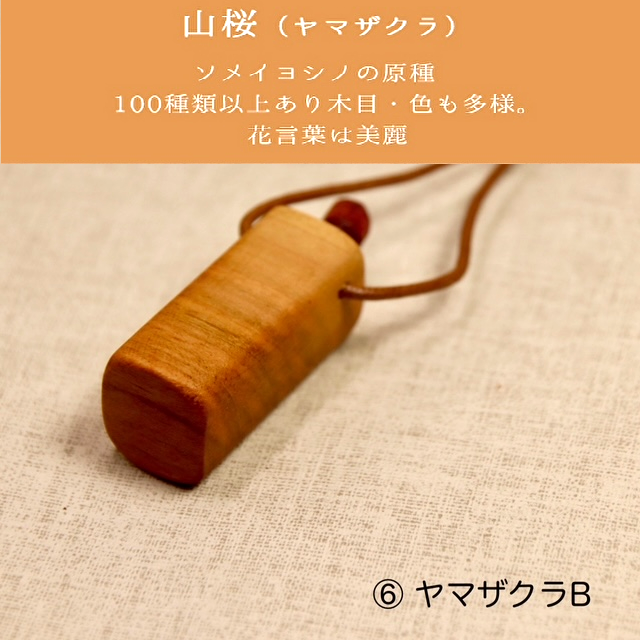 �ο��ǥ�������ڤΥ����ޥڥ�����B�ڥ����ޥ������դ���