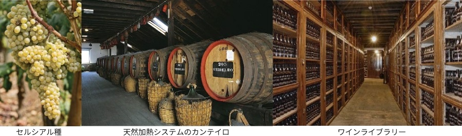 マデイラ 白品種5年 ミニボトル4種セット