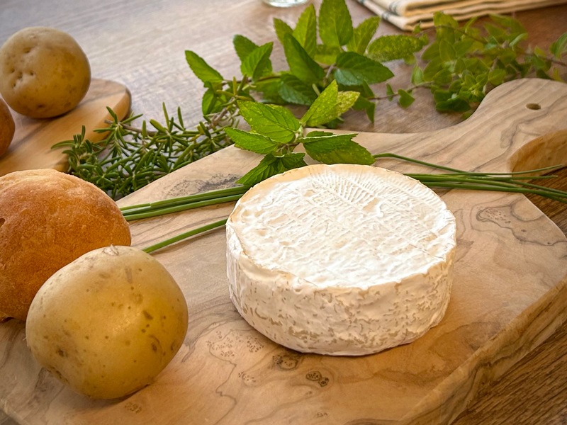 コンチェルト！リモージュボックス　BRIEチーズ キャステロブリー（125g） | 白かび | Cheese Honey