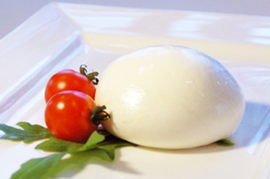 トリデンテ 飛騨高山乳100%モッツァレラチーズ セット125g（5個・7個・10個）