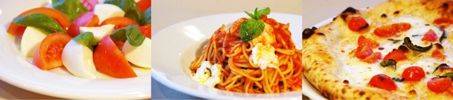 トリデンテ 飛騨高山乳100%モッツァレラチーズ セット125g（5個・7個・10個）