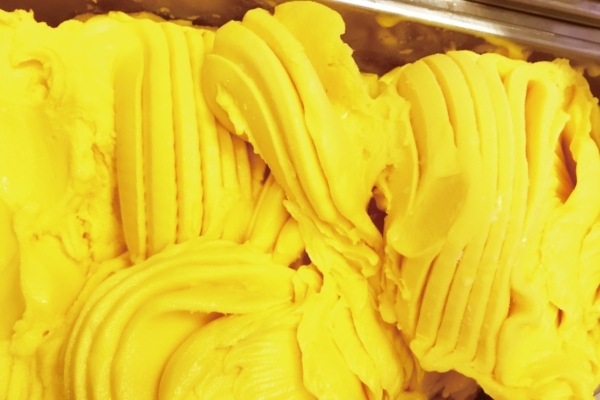 【送料込み】yogorino（ヨゴリーノ）フルーツジェラート4種セット