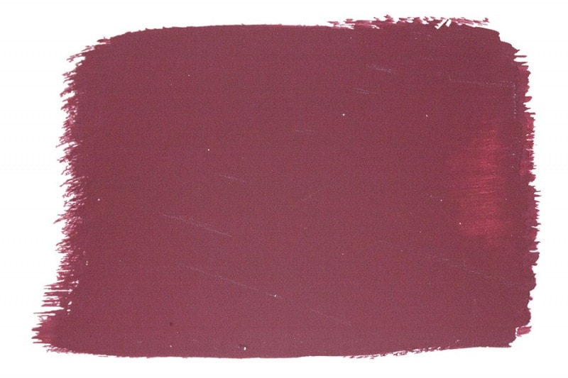 AS-5 �С�����ǥ��� 5���ʵ�ѥå�������