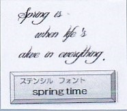 ST-H20 �����»�MDA���ƥ󥷥� Spring time