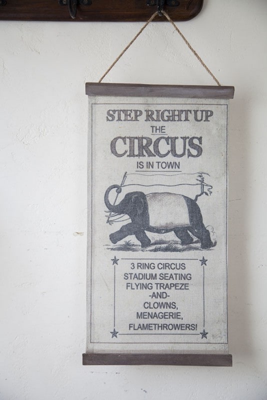 Z-Z382 �����������ڥ��ȥ꡼