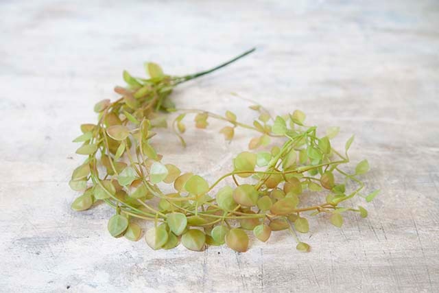 Z-Z391 �磻�䡼�ץ��ġ�