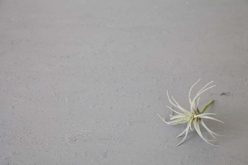 ASS-WDA10 ���󥯥꡼����������ӡ��ܡ��� 9���Ĺ���