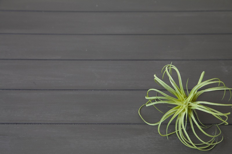 ASS-WDA33  ����ӡ��ܡ��ɡ�����ե�����